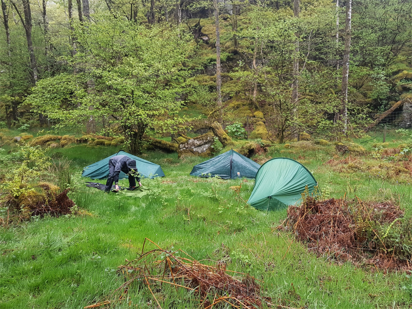 Camp mourning русский