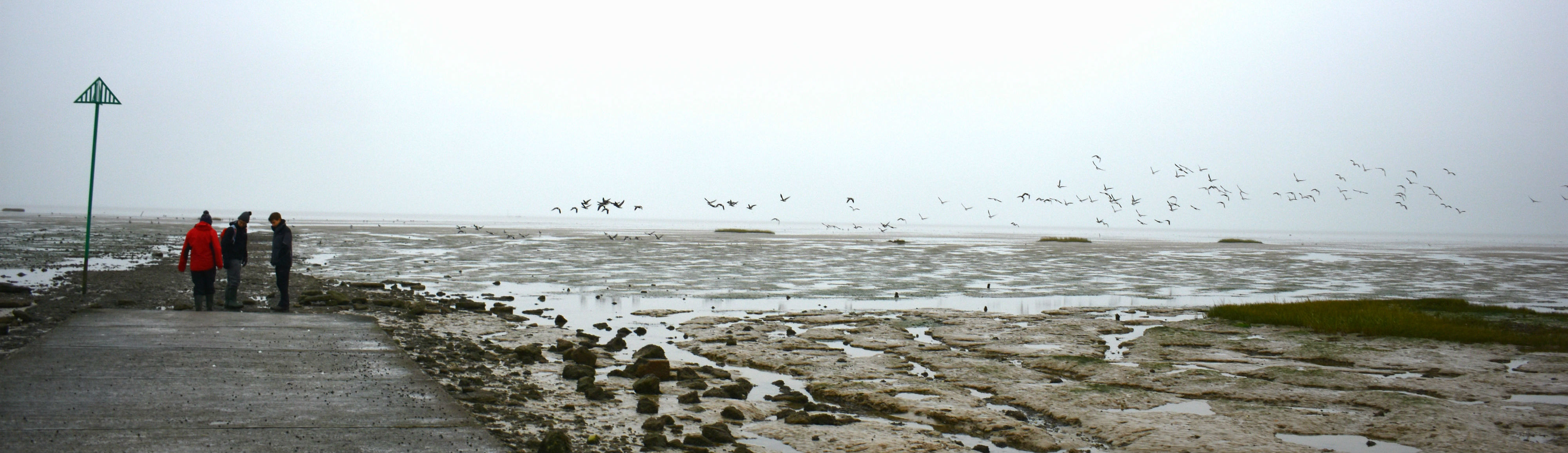 The Broomway