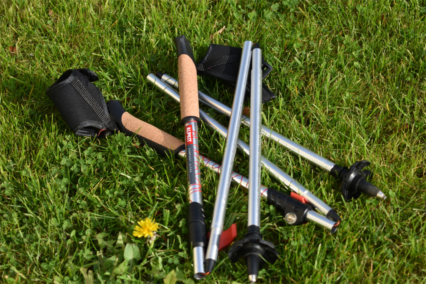 alpkit trekking pole